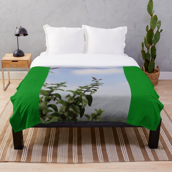 Item preview, Blooming mint flower under the blue sky designed and sold by zuhairiphotos.
