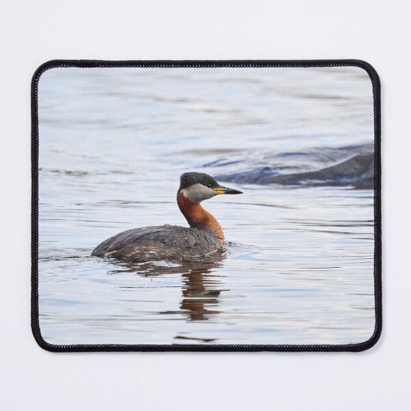 Item preview, Red-necked grebe. Spring 2026 designed and sold by Jouko Lehto Photography.