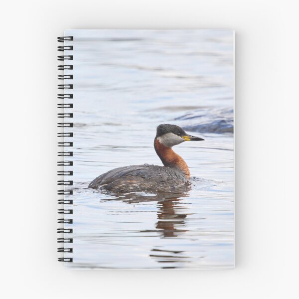 Item preview, Red-necked grebe. Spring 2026 designed and sold by Jouko Lehto Photography.