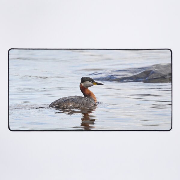 Item preview, Red-necked grebe. Spring 2026 designed and sold by Jouko Lehto Photography.