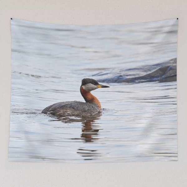 Item preview, Red-necked grebe. Spring 2026 designed and sold by Jouko Lehto Photography.