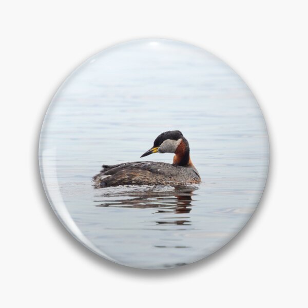 Item preview, What have I left behind. Red-necked grebe. Spring 2026 designed and sold by Jouko Lehto Photography.