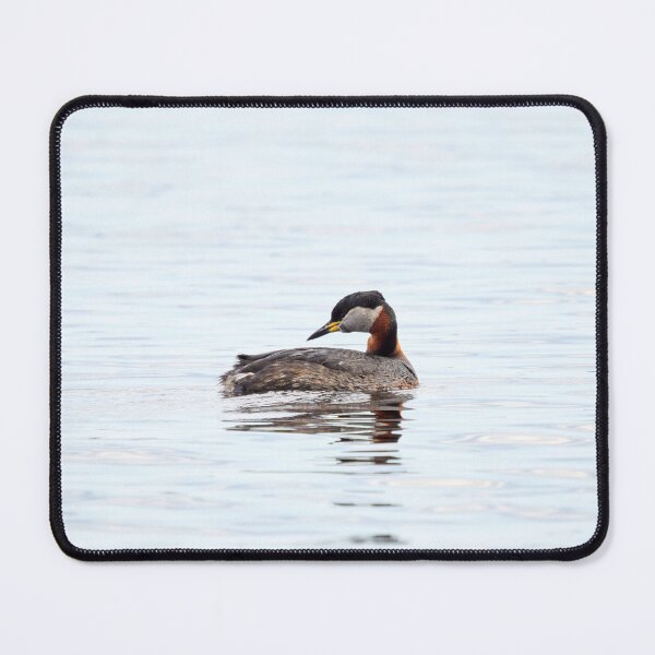 Item preview, What have I left behind. Red-necked grebe. Spring 2026 designed and sold by Jouko Lehto Photography.