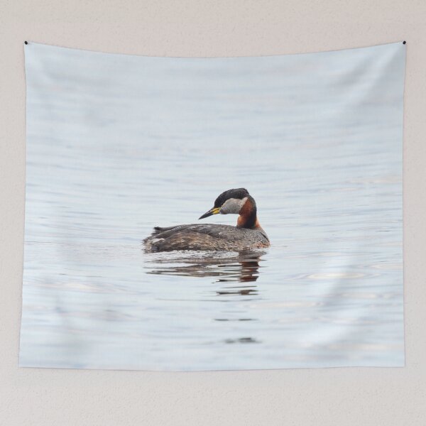 Item preview, What have I left behind. Red-necked grebe. Spring 2026 designed and sold by Jouko Lehto Photography.