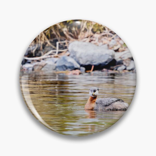 Item preview, Green reflections. Red-necked grebe. Spring 2026 designed and sold by Jouko Lehto Photography.