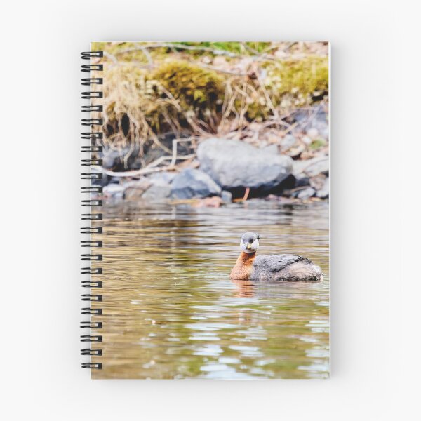 Item preview, Green reflections. Red-necked grebe. Spring 2026 designed and sold by Jouko Lehto Photography.