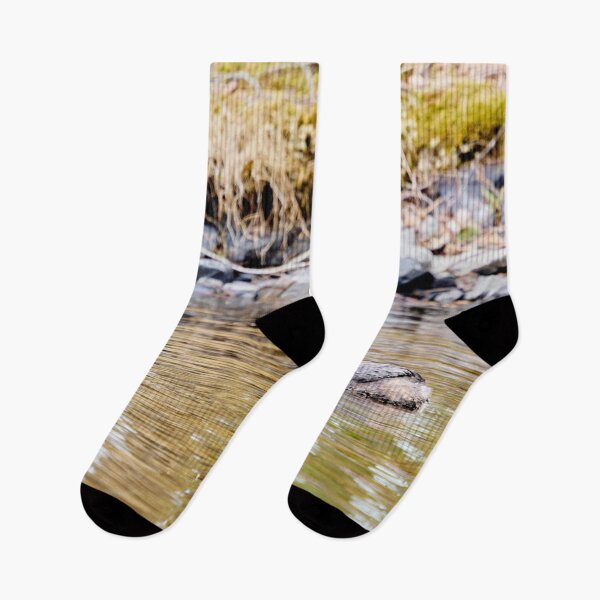 Item preview, Green reflections. Red-necked grebe. Spring 2026 designed and sold by Jouko Lehto Photography.