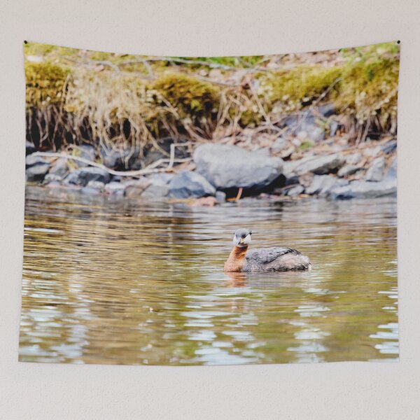 Item preview, Green reflections. Red-necked grebe. Spring 2026 designed and sold by Jouko Lehto Photography.
