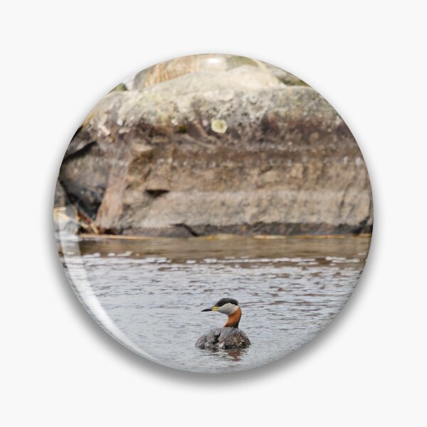 Item preview, By the rocks.. Red-necked grebe. Spring 2026 designed and sold by Jouko Lehto Photography.