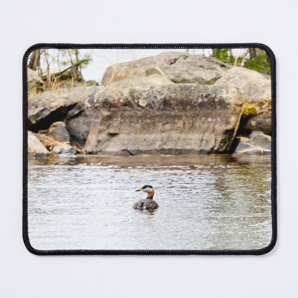 Item preview, By the rocks.. Red-necked grebe. Spring 2026 designed and sold by Jouko Lehto Photography.