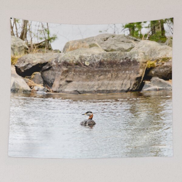 Item preview, By the rocks.. Red-necked grebe. Spring 2026 designed and sold by Jouko Lehto Photography.