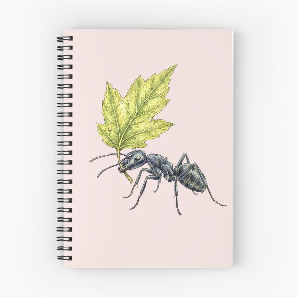 Item preview, Entomological illustration: The ant and its leaf (Parasol ant) designed and sold by Green-Natura.