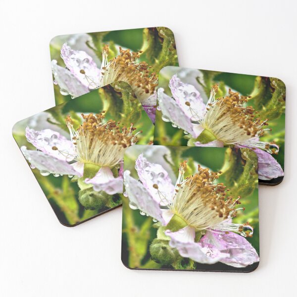 Item preview, Blackberry blossom macro nature photography water droplets designed and sold by Ascooepics.