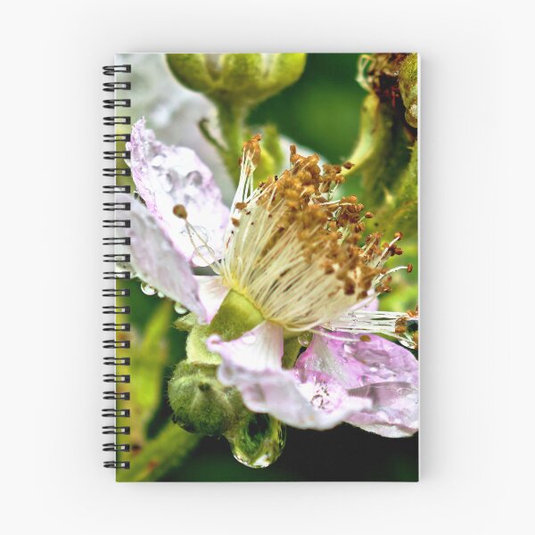 Item preview, Blackberry blossom macro nature photography water droplets designed and sold by Ascooepics.