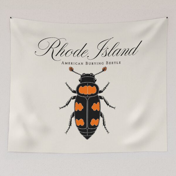 Item preview, Rhode Island American Burying Beetle Poster designed and sold by The-Drip-Studio.