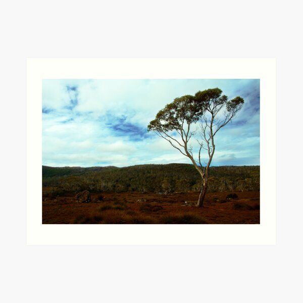 Lake Windermere, Overland Track, Tasmania Art Print