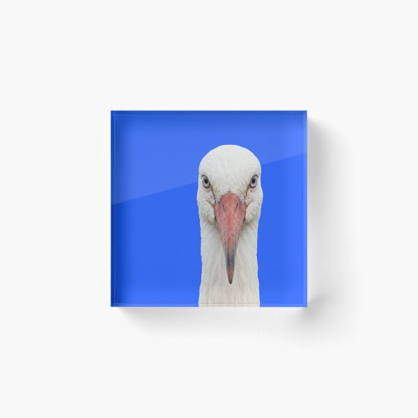 Item preview, Elegant White Stork Looking Forward⁠ designed and sold by ovidiuboc.