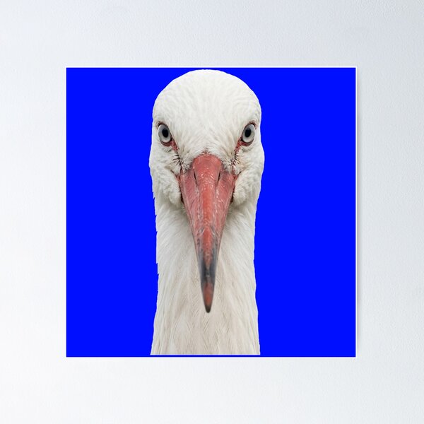 Item preview, Elegant White Stork Looking Forward⁠ designed and sold by ovidiuboc.
