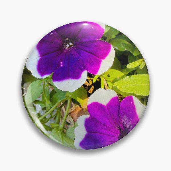 Item preview, Purple and White Bi-Color Petunia Flowers designed and sold by BalkanBloom.