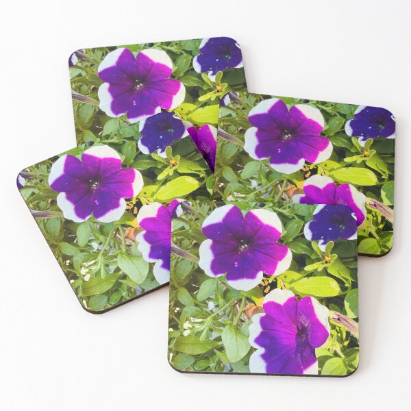 Item preview, Purple and White Bi-Color Petunia Flowers designed and sold by BalkanBloom.