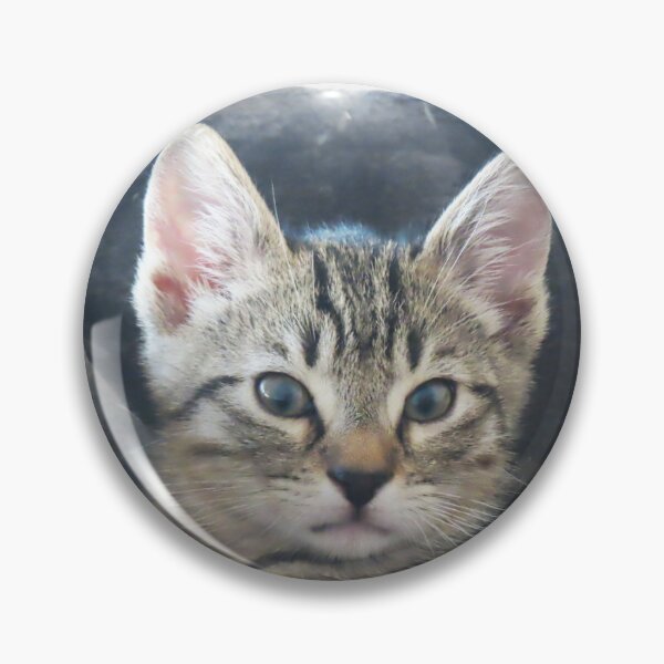 Item preview, Baby cat designed and sold by ART22.