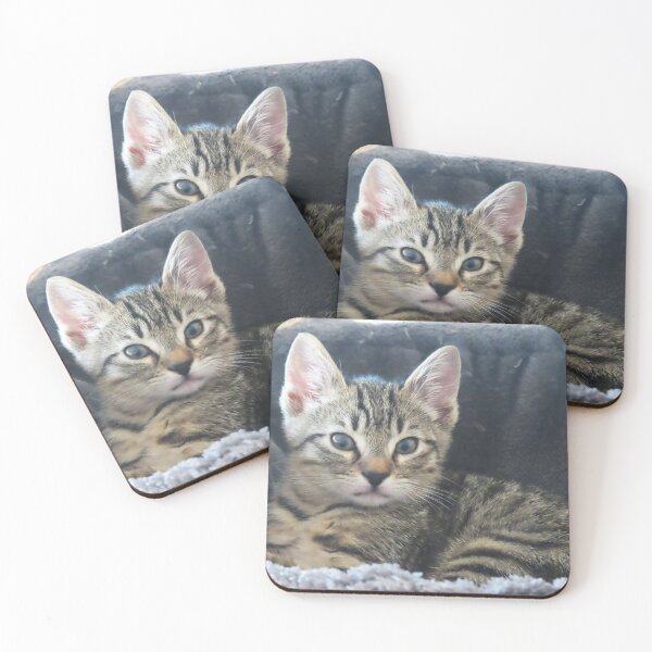Item preview, Baby cat designed and sold by ART22.