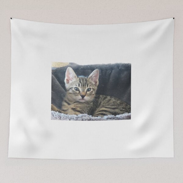 Item preview, Baby cat designed and sold by ART22.