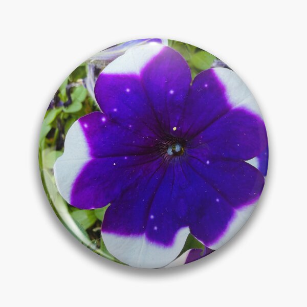 Item preview, Starry Purple and White Bi-Color Petunia Flower designed and sold by BalkanBloom.