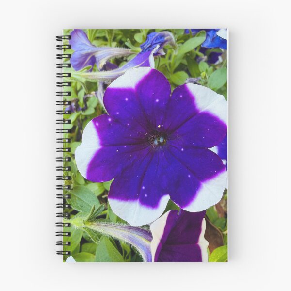 Item preview, Starry Purple and White Bi-Color Petunia Flower designed and sold by BalkanBloom.