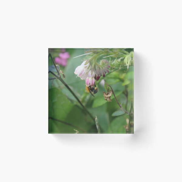 Item preview, Busy Bumblebee in a Cottage Garden - Soft nature photography designed and sold by Cha-s-lens.