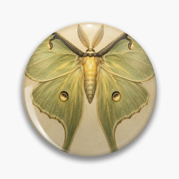 Item preview, Botanical Moth Art Gift for an Entomologist — Luminous Vintage Specimen Print designed and sold by Brackenlume Studio.