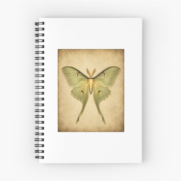 Item preview, Botanical Moth Art Gift for an Entomologist — Luminous Vintage Specimen Print designed and sold by Brackenlume Studio.