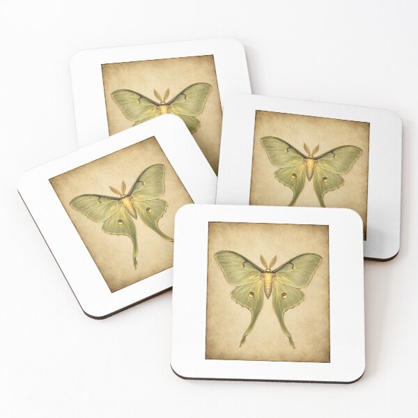 Item preview, Botanical Moth Art Gift for an Entomologist — Luminous Vintage Specimen Print designed and sold by Brackenlume Studio.