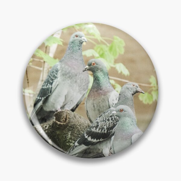 Item preview, City Pigeons Sitting in a Tree designed and sold by pigeonlovrs.