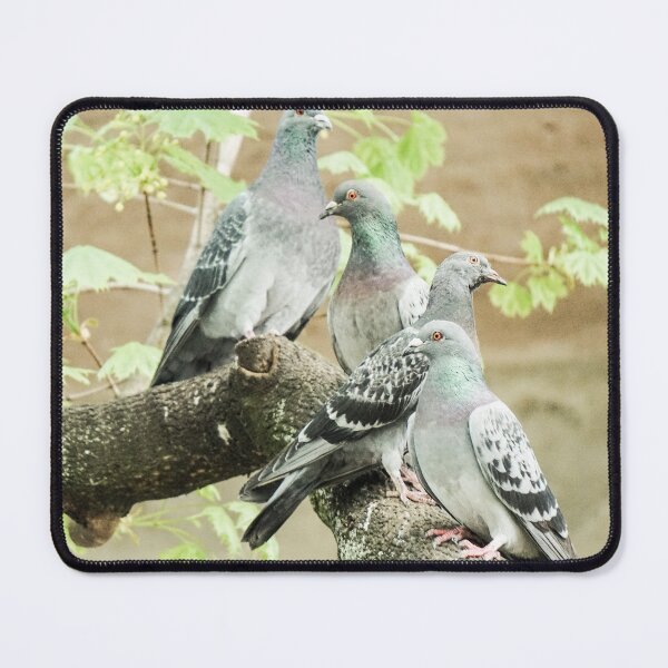 Item preview, City Pigeons Sitting in a Tree designed and sold by pigeonlovrs.