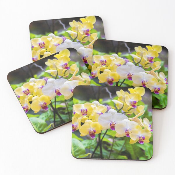 Item preview, Yellow Orchids designed and sold by CopperSkyPhoto.