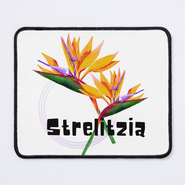 Item preview, Strelitzia_3 designed and sold by PlantSholic.