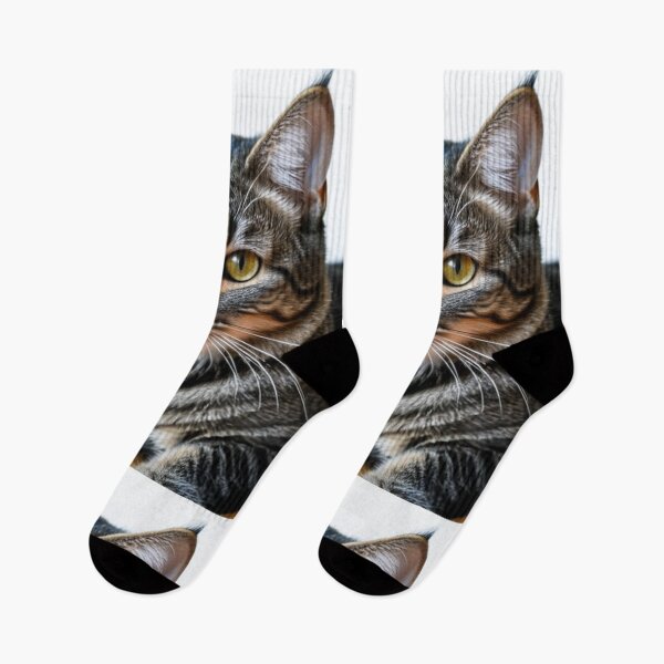 Item preview, Animals - Grey Tabby Cat, Realistic Portrait with Amber Gaze designed and sold by DoodyPets.