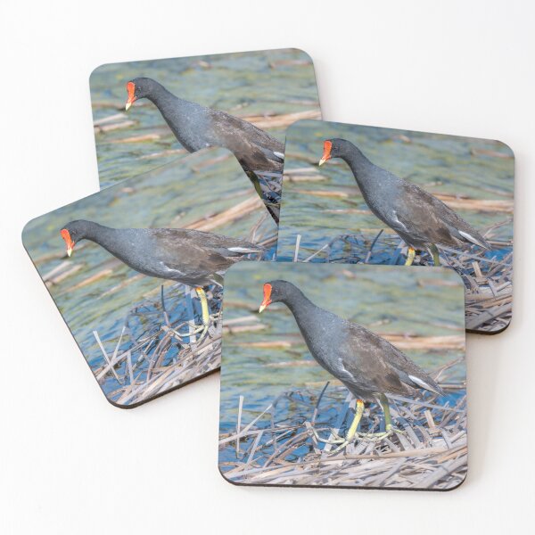 Item preview, Common Gallinule Walking on Vegetation designed and sold by Debra Martz.