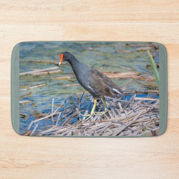 Item preview, Common Gallinule Walking on Vegetation designed and sold by Debra Martz.