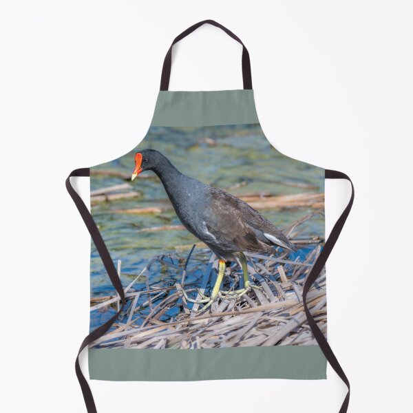 Item preview, Common Gallinule Walking on Vegetation designed and sold by Debra Martz.