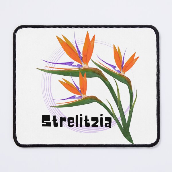 Item preview, Strelitzia_4 designed and sold by PlantSholic.