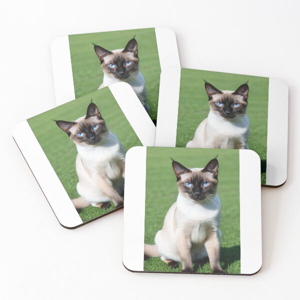 Item preview, Animals - Siamese Cat, Icy Blue Eyes and Feline Elegance designed and sold by DoodyPets.
