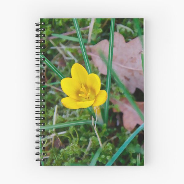 Item preview, Pair of Yellow Crocus Flowers designed and sold by ShotsbyDesiree.