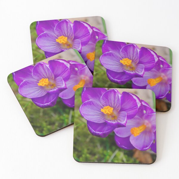 Item preview, Deep Purple Crocus Flower Pair designed and sold by ShotsbyDesiree.