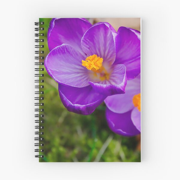 Item preview, Deep Purple Crocus Flower Pair designed and sold by ShotsbyDesiree.