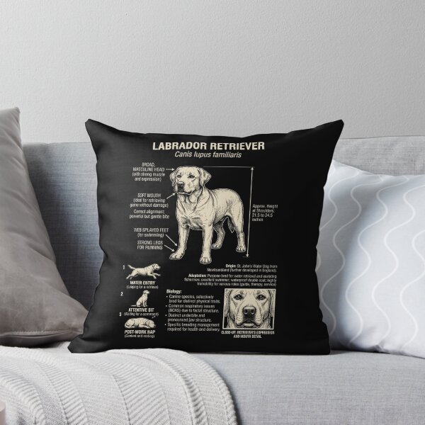 Item preview, Labrador Retriever Scientific Anatomy Biology Dog Lover designed and sold by Kimberley King Art  King Art.