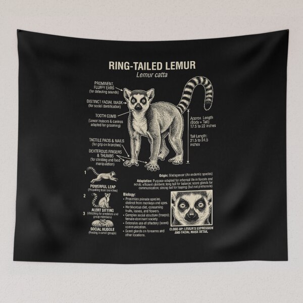 Item preview, Lemur Scientific Anatomy Biology Animal Lover designed and sold by Kimberley King Art  King Art.