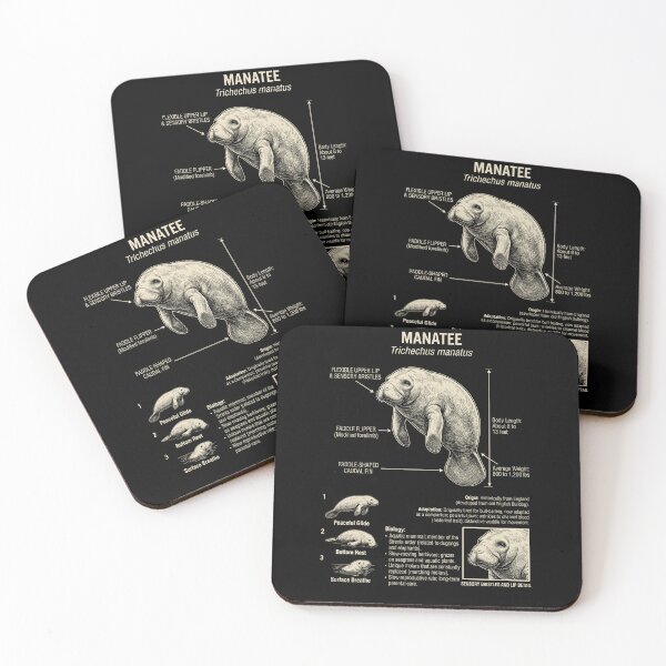 Item preview, Manatee Scientific Anatomy Biology Animal Lover designed and sold by Kimberley King Art  King Art.