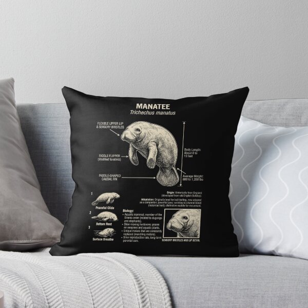 Item preview, Manatee Scientific Anatomy Biology Animal Lover designed and sold by Kimberley King Art  King Art.